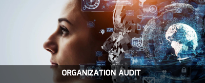 ORGANIZATION AUDIT (10)