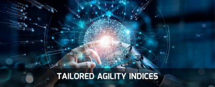 ORGANIZATION AUDIT (12)